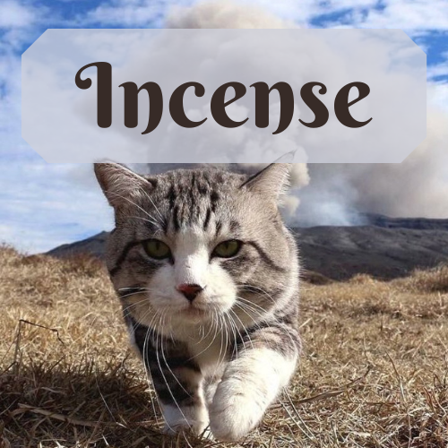 Incense Sticks