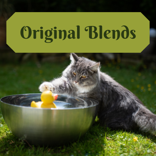Perfume Oil: Original Blends